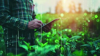 Homme avec tablette numérique entouré de végétation