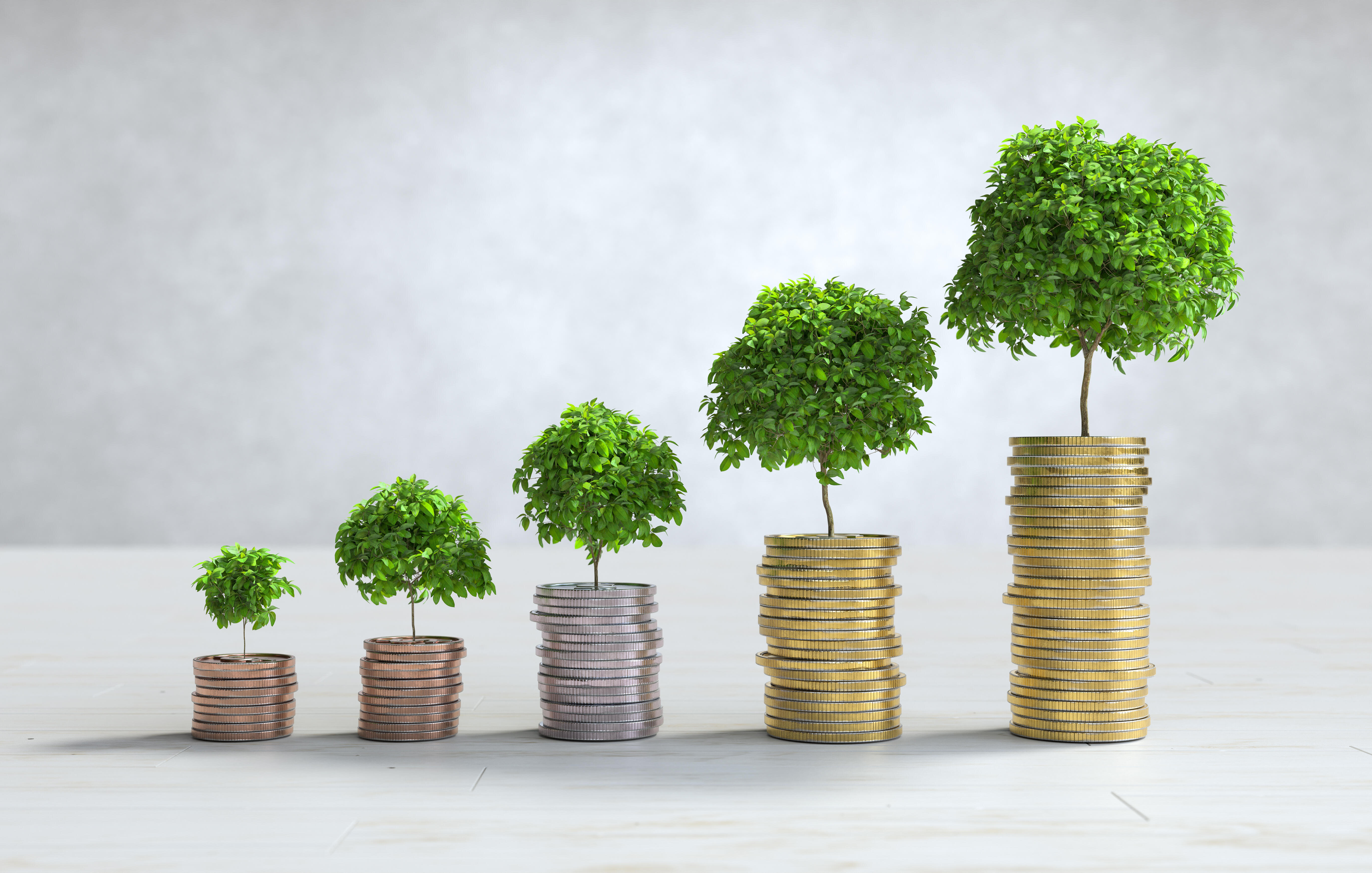 pièces de monnaie empilées avec un arbre au sommet
