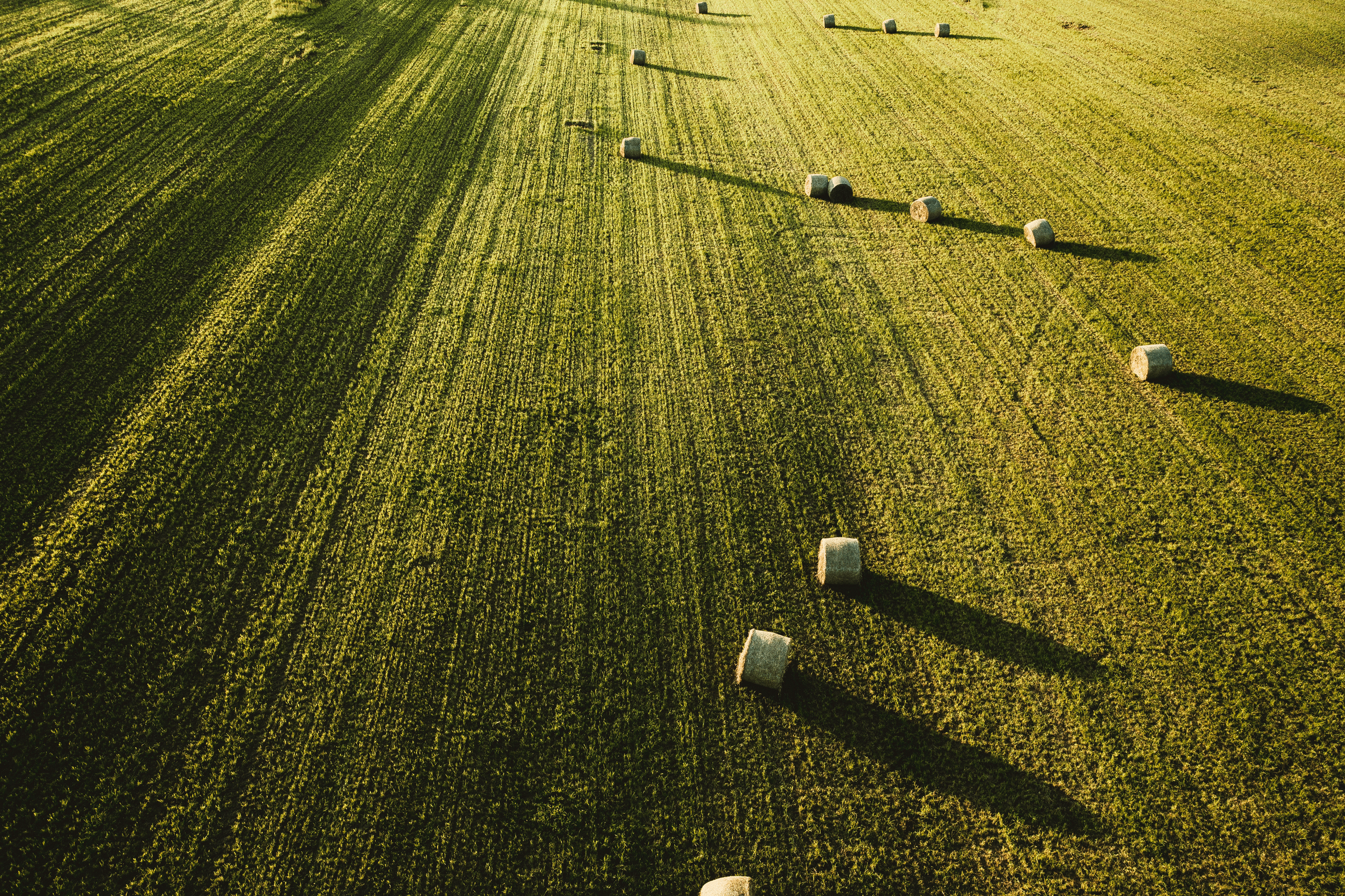 Vue aérienne d'un grand champ agricole verdoyant parsemé de bottes de foin rondes sous la lumière dorée du soleil couchant