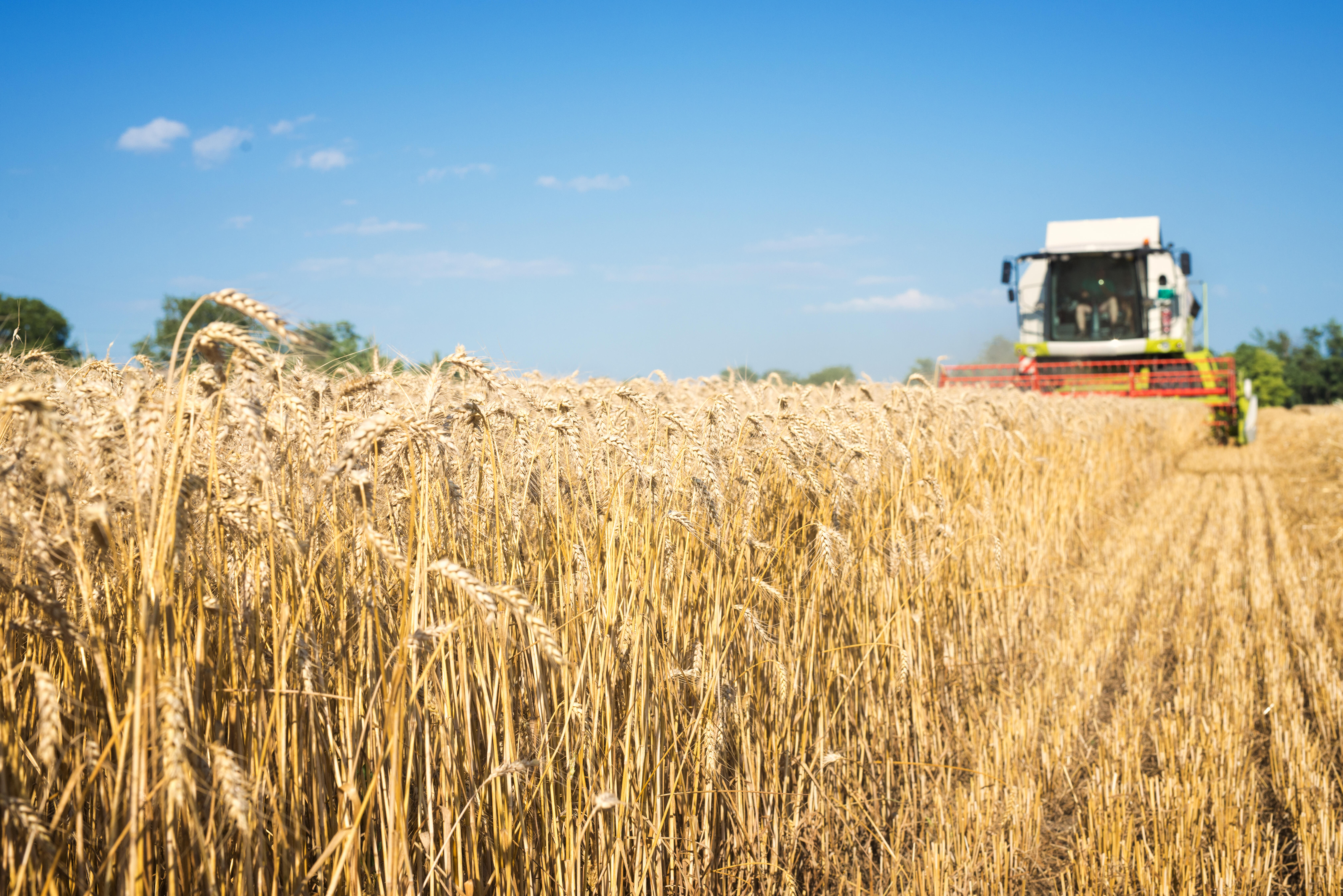 Tracteur dans un champ
